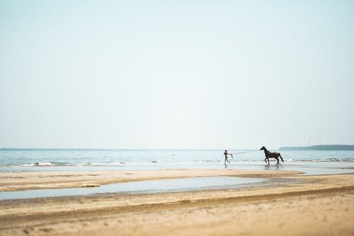 都市圣醫(yī)神婿小說葉塵牧云溪在線閱讀