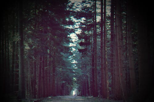 精騎集文言文翻譯