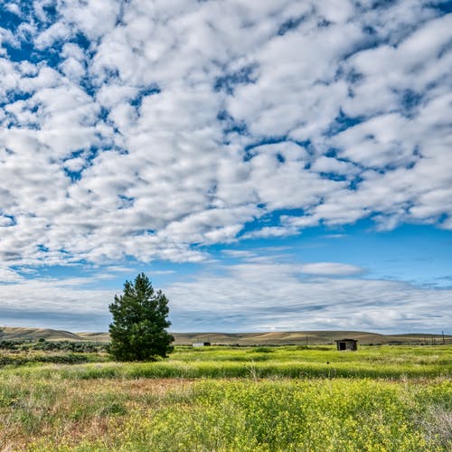 友誼如花，清香漫灑