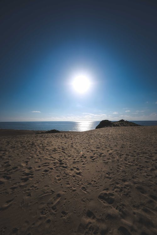 閻羅棄少小說爽文葉秋云沫熙無廣告閱讀