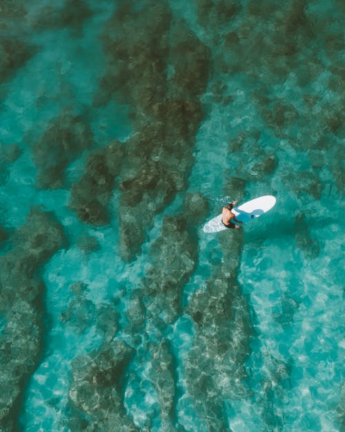 有趣的春節(jié)日記（通用6篇）