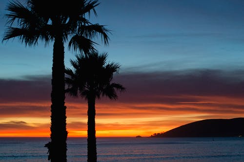 爽文道法圖小說葉辰沈秋全文閱讀