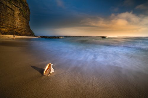 給朋友的芒種祝福語錦集34條