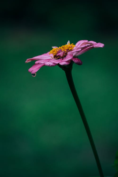 2020年給朋友的復活節(jié)祝福語大匯總27條