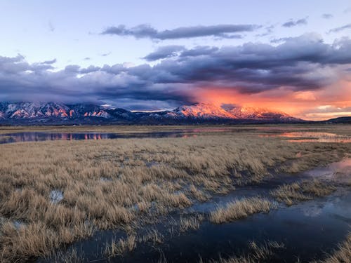 長輩生日祝福語最新