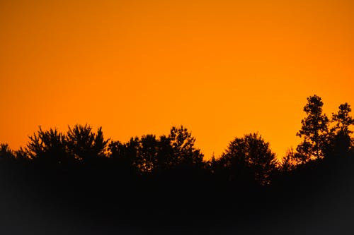 新書連載帝王婿小說葉辰夏傾月在線閱讀