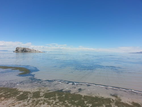 常用優(yōu)美文藝句子匯總69句