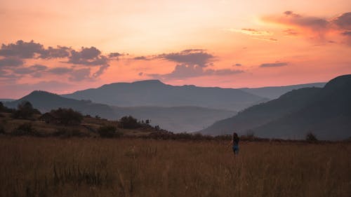 四個(gè)世界著名的教育法則勵(lì)志教育