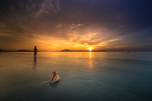 贊美梅花的經(jīng)典詩句4篇