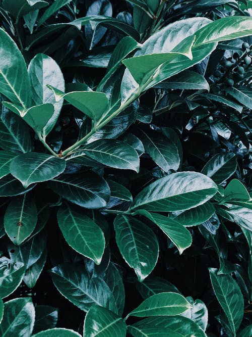 有關(guān)小學(xué)三年級(jí)日記模板10篇 有關(guān)小學(xué)三年級(jí)日記模板10篇