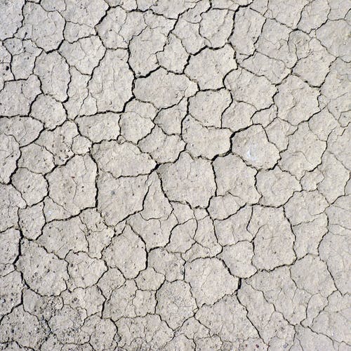 描寫八月桂花的詩句