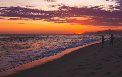 《看不見的心》讀后感摘抄