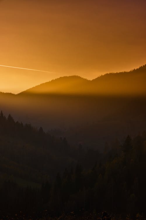 2020年圣誕節(jié)祝福語微信大合集59條