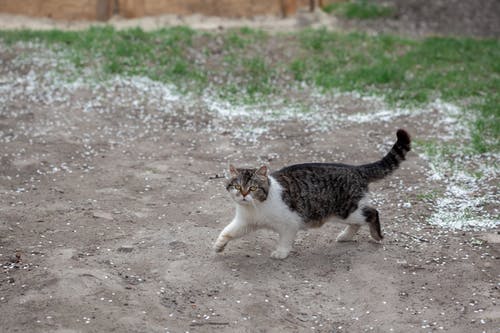 母親節(jié)跟媽媽說(shuō)的話