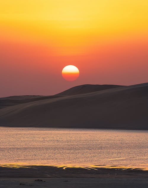 玄幻之我真不想賣藝啊小說唐軒陸青鸞無廣告閱讀