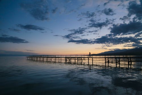 神醫(yī)豪婿小說逆襲蘇浩葉清秋章節(jié)閱讀 神醫(yī)豪婿小說逆襲蘇浩葉清秋章節(jié)閱讀