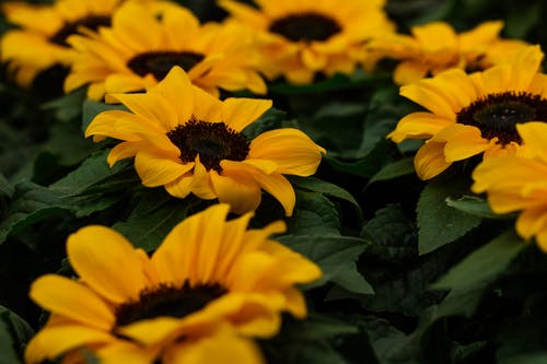 你為伴侶設(shè)置的手機(jī)備注是什么？