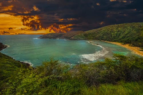 真正的朋友：緣于品，敬于德，久于情（深度好文）