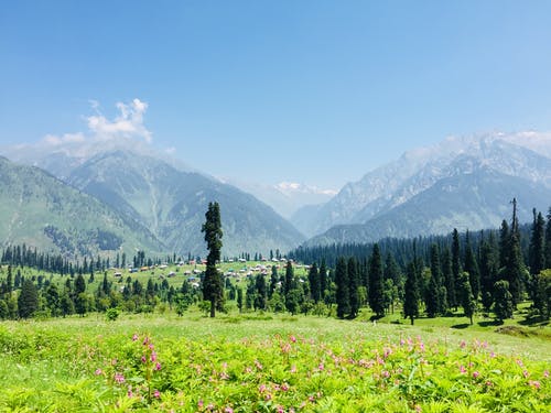 消防雙簧小品經(jīng)典臺詞 消防雙簧小品經(jīng)典臺詞