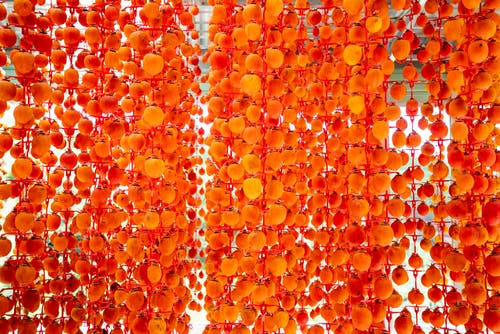 時(shí)空魅影小說(shuō)連載中楊寒蘇雨晴目錄閱讀