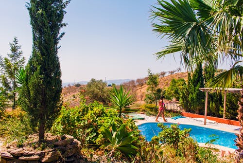 人教版六年級上冊四單元作文保護環(huán)境是我們的責任