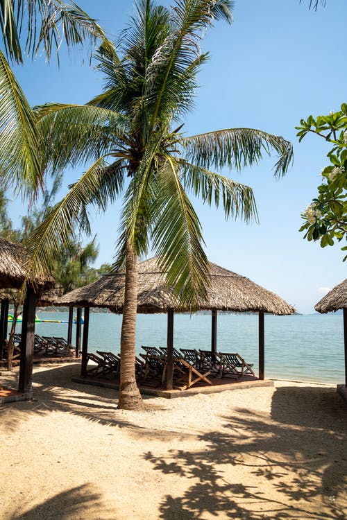 五年級(jí)寫景作文風(fēng)情麗江