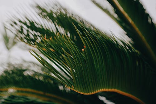 勵(lì)志高中畢業(yè)留言