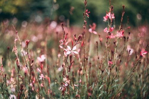 關(guān)于穿井得一人的文言文翻譯 關(guān)于穿井得一人的文言文翻譯