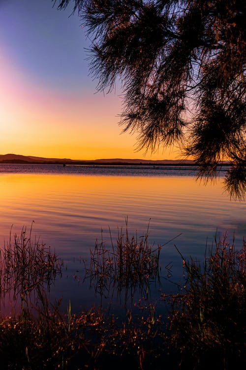 我的守護(hù)靈太爭氣能自動(dòng)升級小說主角葉靈無彈窗閱讀 我的守護(hù)靈太爭氣能自動(dòng)升級小說主角葉靈無彈窗閱讀