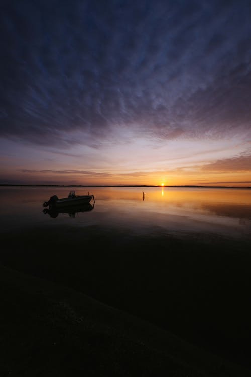 五年級書信野生動物，我想對你說