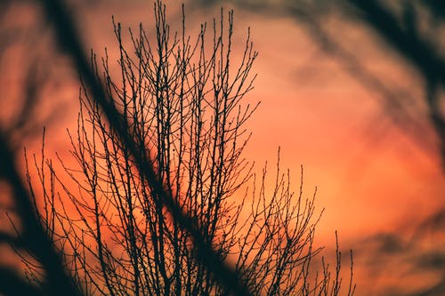 洛奇經典臺詞 洛奇經典臺詞