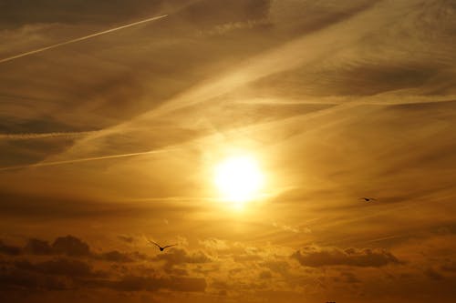 我愛這土地仿寫詩(shī)歌