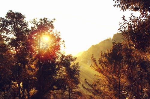 一代宗師小說連載中江辰林雪兒無廣告閱讀