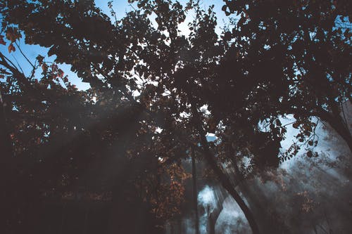 安東尼愛情經(jīng)典句子