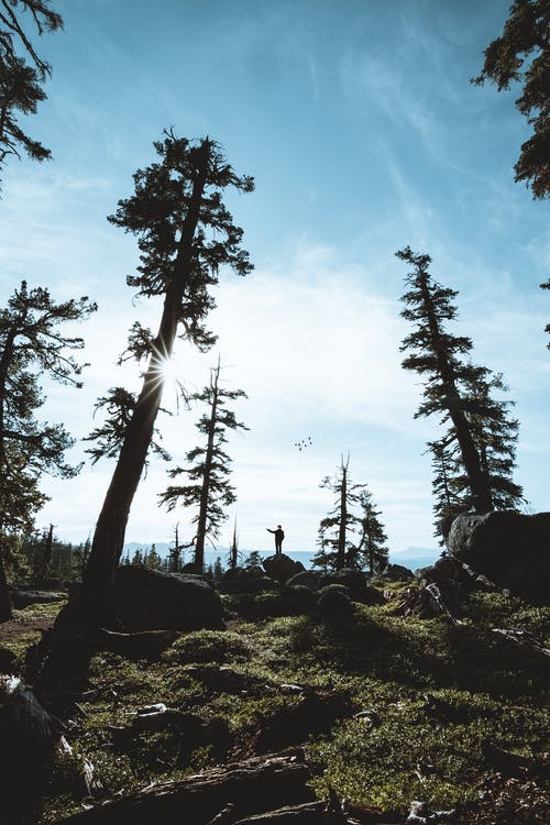 五年級(jí)狀物作文智能課桌