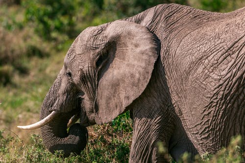 大雪快樂的祝福語集合38句 大雪快樂的祝福語集合38句