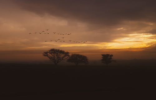 五年級想象作文未來的自己