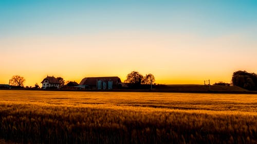 生活，一點(diǎn)糖就夠了