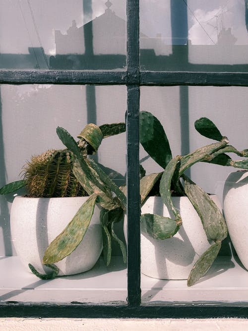 2020年暖心勞動(dòng)節(jié)祝福語(yǔ)53條 2020年暖心勞動(dòng)節(jié)祝福語(yǔ)53條