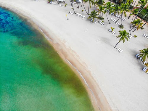 我是財(cái)神爺徒弟小說逆襲陸巖宋靈雨無錯(cuò)版閱讀