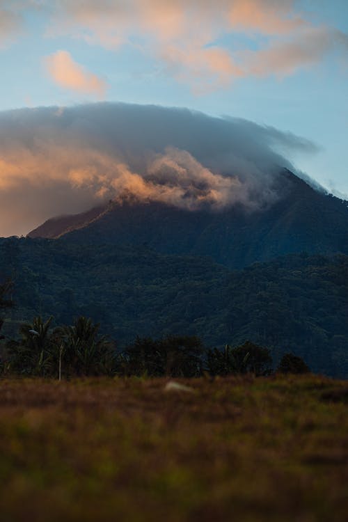 連載中帶領宗門闖天下小說常威燕子章節(jié)閱讀