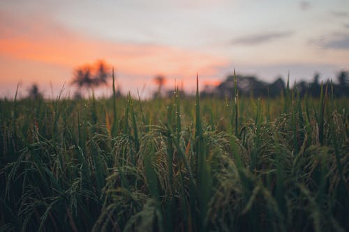 經(jīng)典美文摘抄11篇 經(jīng)典美文摘抄11篇