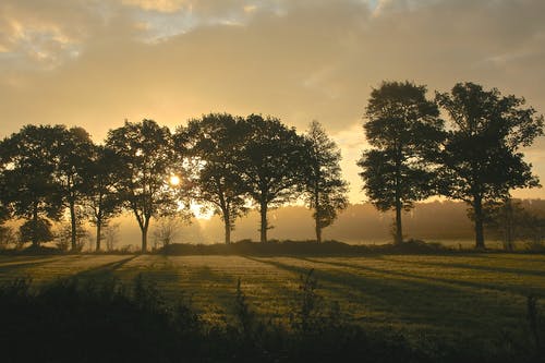 浣溪沙·庚申除夜翻譯及賞析 浣溪沙·庚申除夜翻譯及賞析