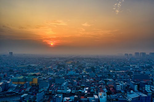 劍道獨尊小說已完結江塵蘇月歌秀秀目錄閱讀