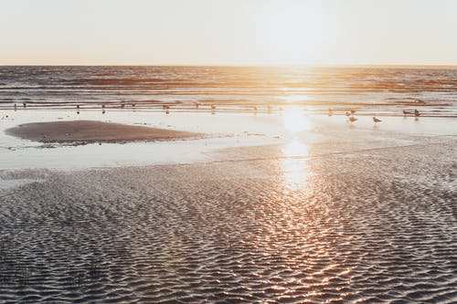 精選元旦給朋友祝福語