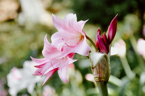 小年快樂的祝福語集合53條