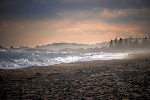 滿江紅楊花全詞翻譯賞析