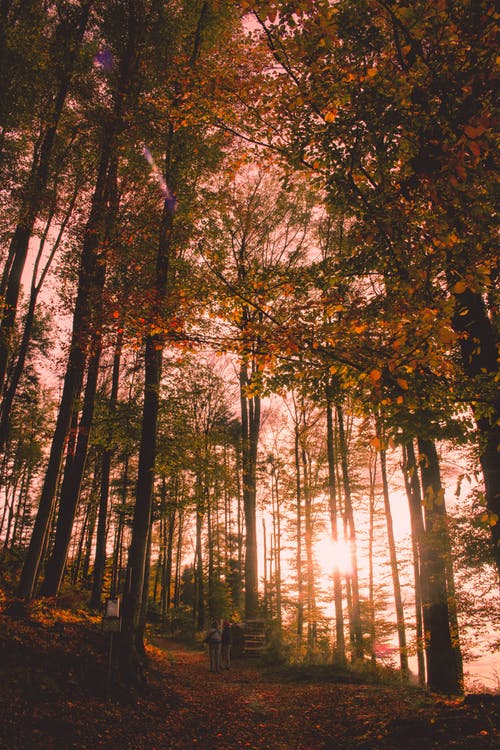 快樂(lè)的新年三年級(jí)日記（精選5篇）