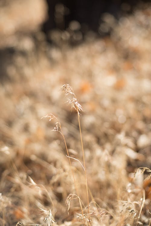 靈異奇門龍婿小說(shuō)周全陳靈兒無(wú)彈窗閱讀