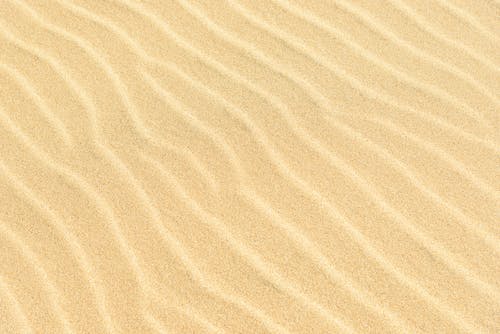 至尊婿王小說逆襲葉辰郁紫在線閱讀 至尊婿王小說逆襲葉辰郁紫在線閱讀